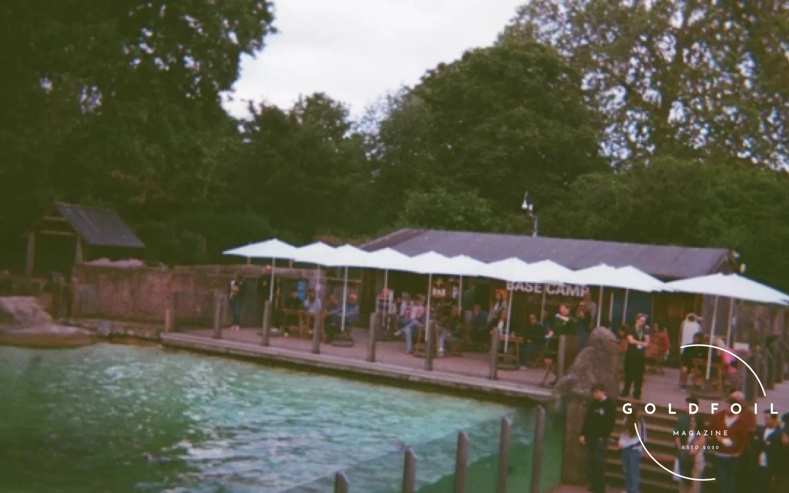 Zoo Lates is the London Zoo summer experience for adults where you get to see animals getting ready for their evening slumber Zoo Lates is the London Zoo summer experience for adults where you get to see animals getting ready for their evening slumber