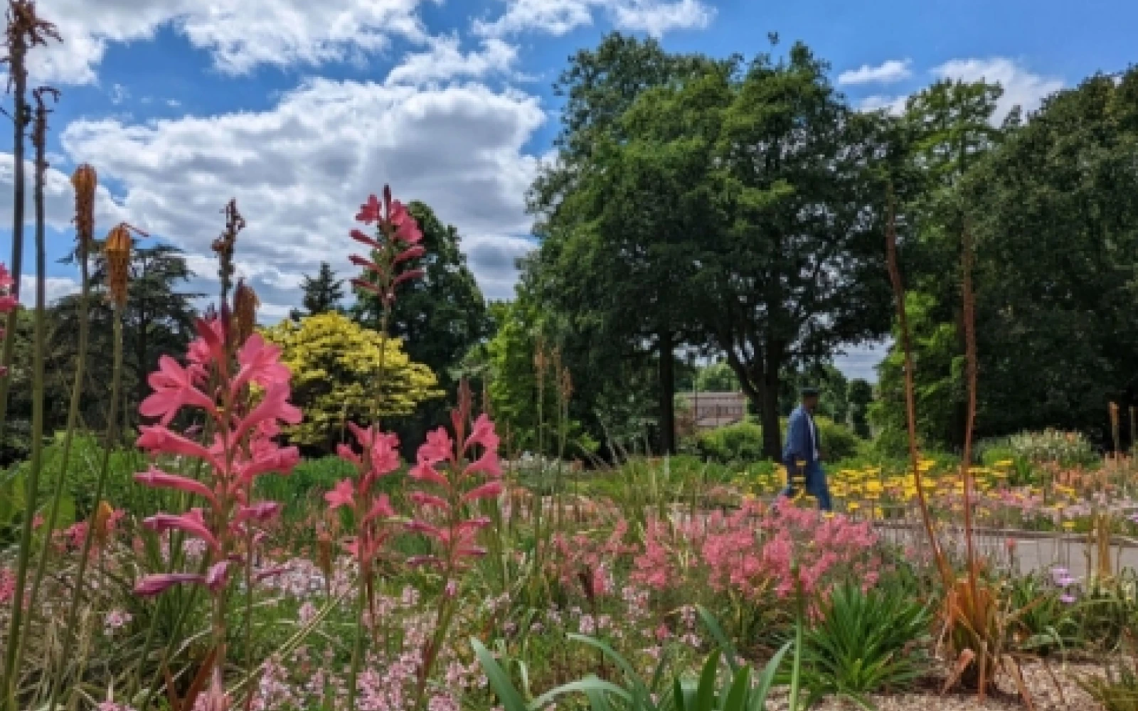 Your Guide To July 2024 In London, Things To Do In The City Your Guide To July 2024 In London, Things To Do In The City