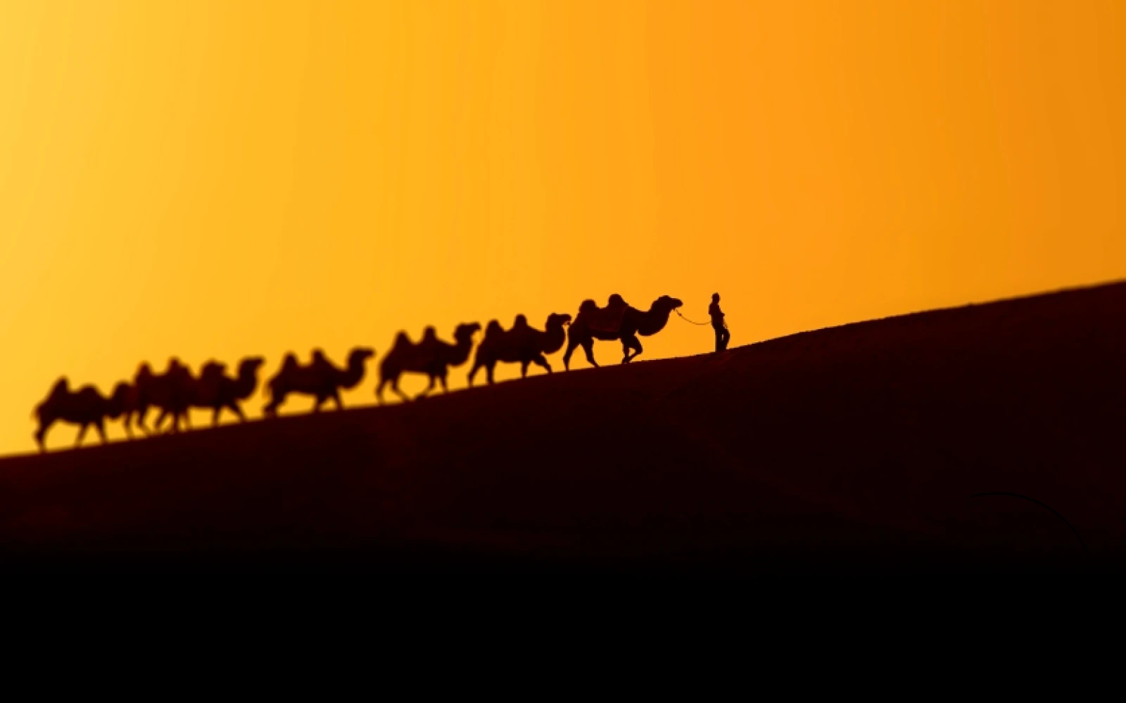 Silk Roads at the British Museum: Beginning September 26, the British Museum’s new Silk Roads exhibition dives deep into the stories of the people who travelled along this legendary trade route. It’s history, but make it cool. Silk Roads at the British Museum: Beginning September 26, the British Museum’s new Silk Roads exhibition dives deep into the stories of the people who travelled along this legendary trade route. It’s history, but make it cool.